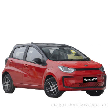 Latest new energy adult electric vehicles, mini SUVs, new cheap electric vehicles made in China for sale